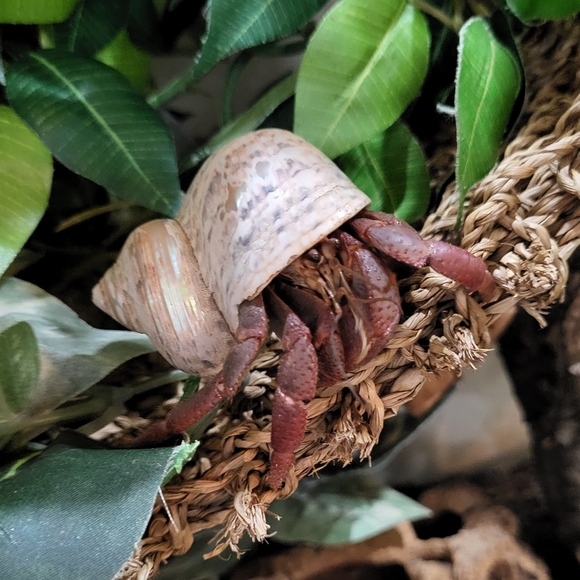 PLSreadBEFOREbuying! - Picture 11 of 13